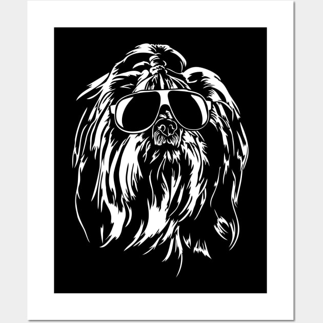 Shih Tzu sunglasses cool dog gt Wall Art by wilsigns